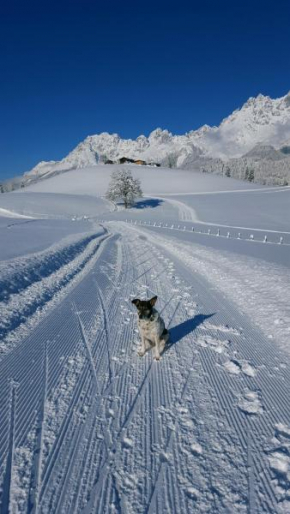 Bauernhof Buchberg, Oberndorf In Tirol, Österreich, Oberndorf In Tirol, Österreich